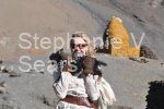 with lamb at about 5000 meters. Tibet