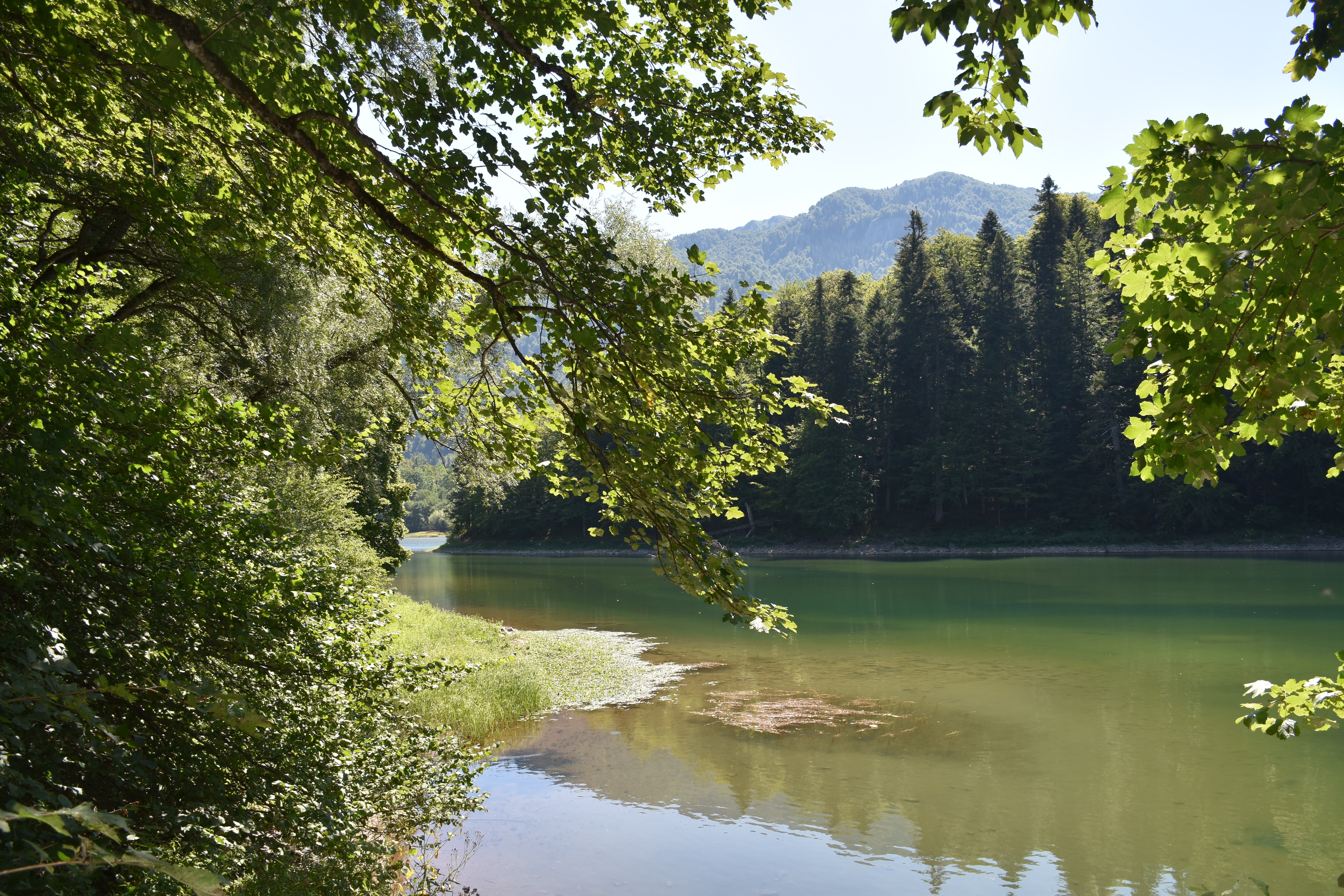 Lake at Biogravska Gora Nat. Park, Montenegro